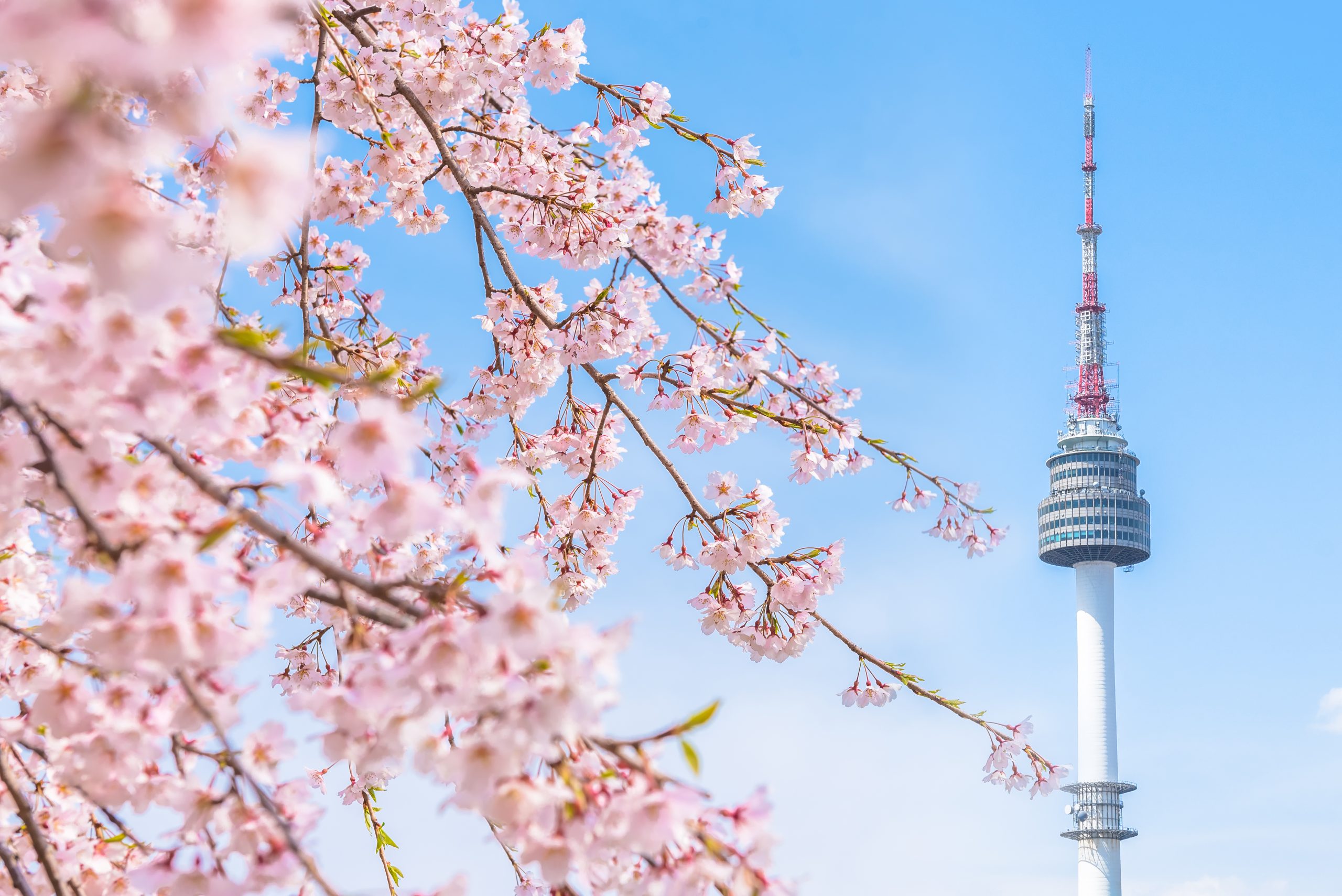 N Seoul Tower